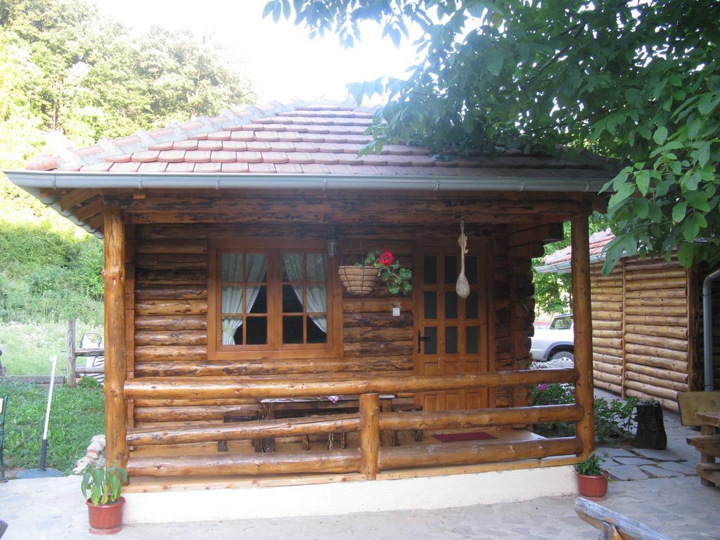 Apartments Izvor Lisine Strmosten Экстерьер фото