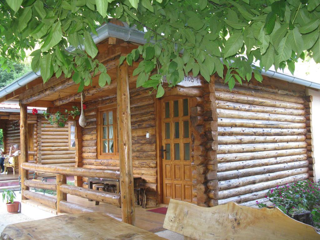 Apartments Izvor Lisine Strmosten Экстерьер фото